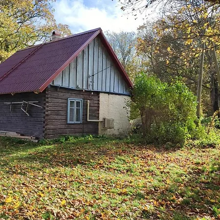 Viini Puhkemaja