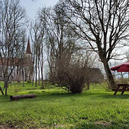 컨트리하우스 Viini Puhkemaja *