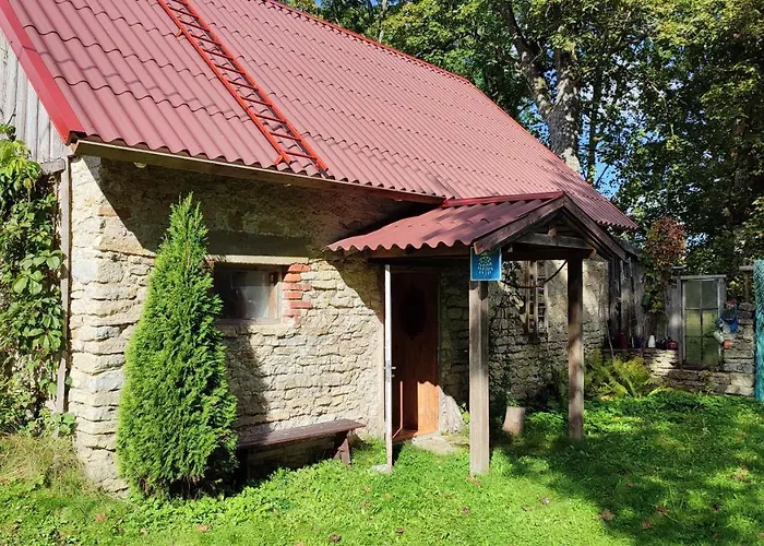 Viini Puhkemaja Country house *