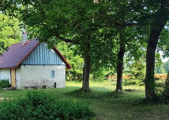 Viini Puhkemaja Country house