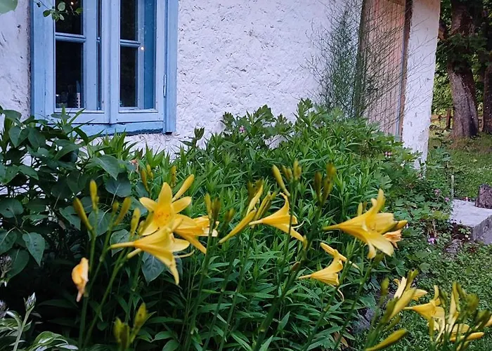 Viini Puhkemaja Country house Mustjala